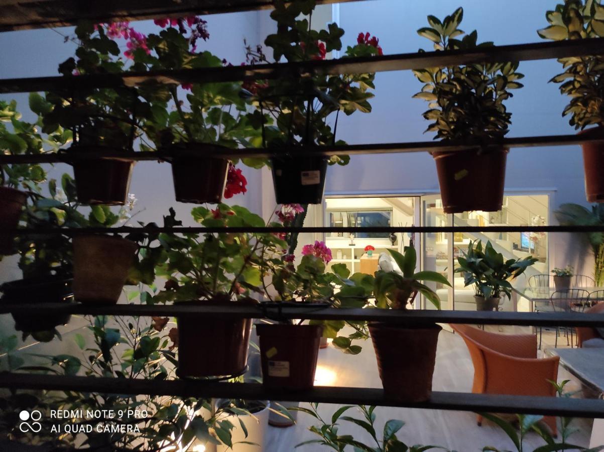 Habitacion Y Bano En Planta Independiente En Centro De Sevilla Kültér fotó